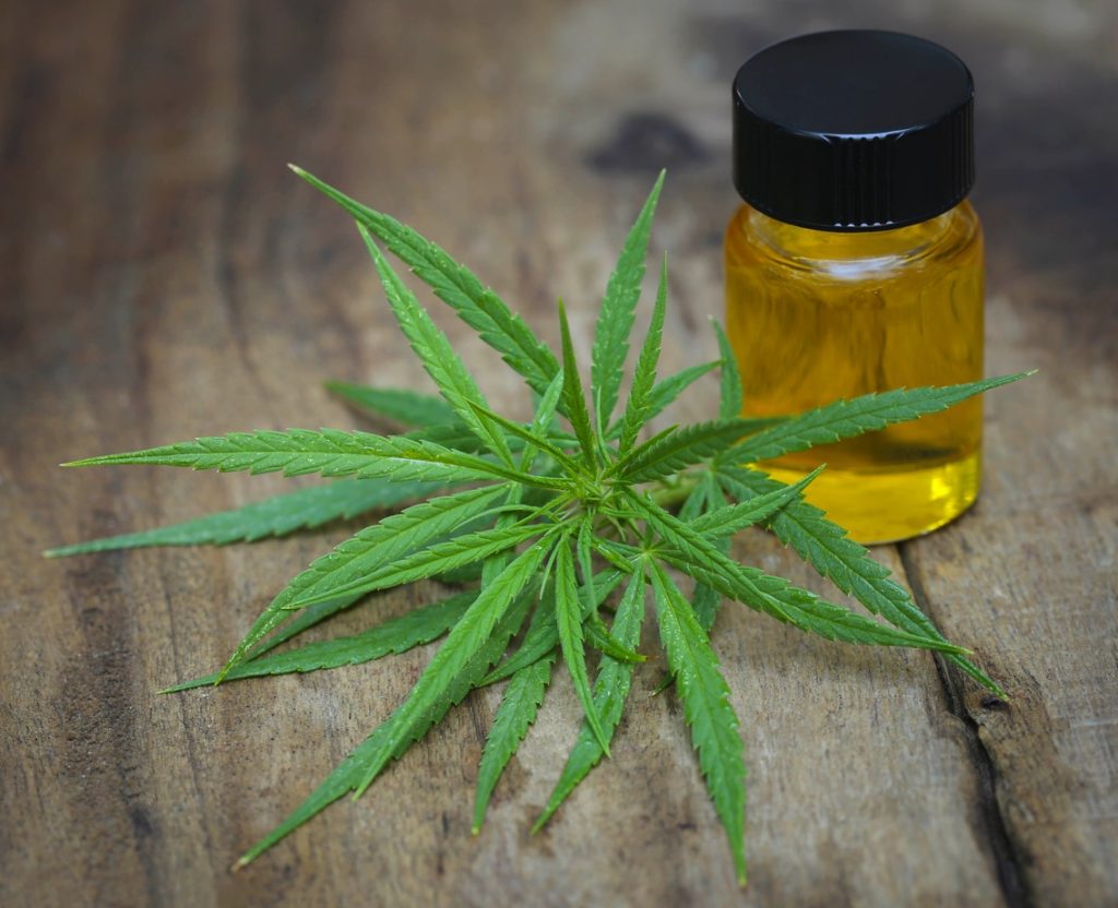 Industrial Hemp in South Australia: What's legal?